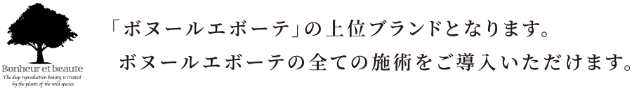 「リアボーテ」