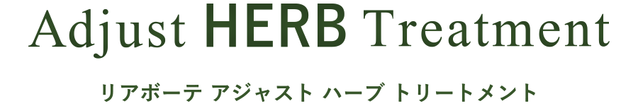 2.導入方法の選択